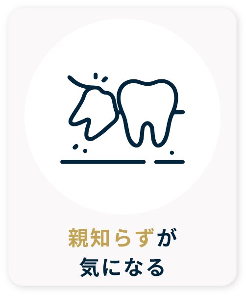 ギャラリー画像08